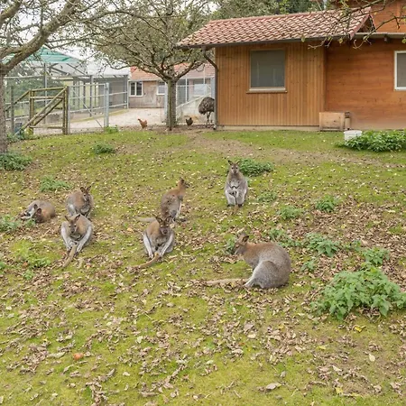 Zapfs Bauernhof Apfelbluete Tettnang